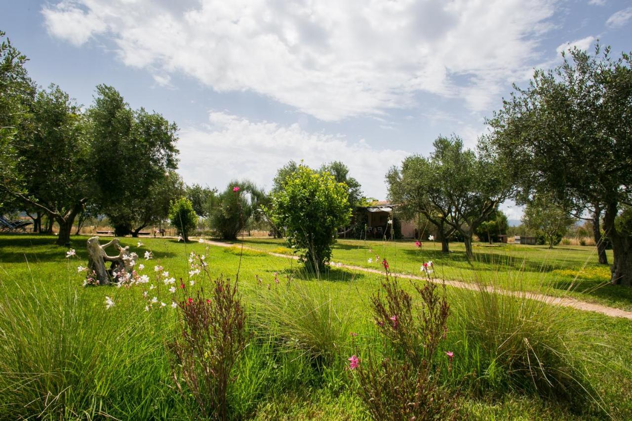 Agriturismo La Facenda Farm stay Albinia