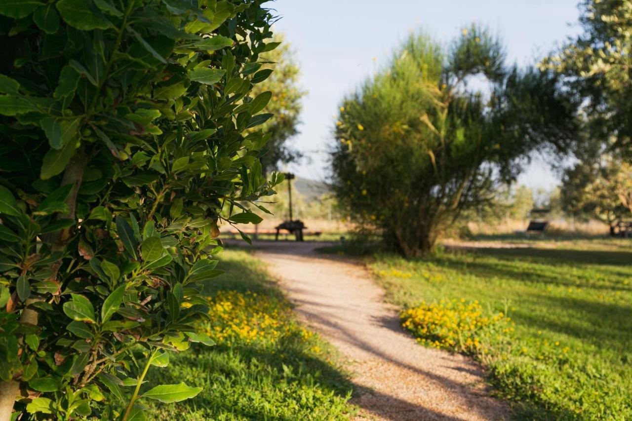 Agriturismo La Facenda * Albinia