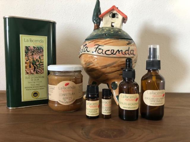 Agriturismo La Facenda Albinia