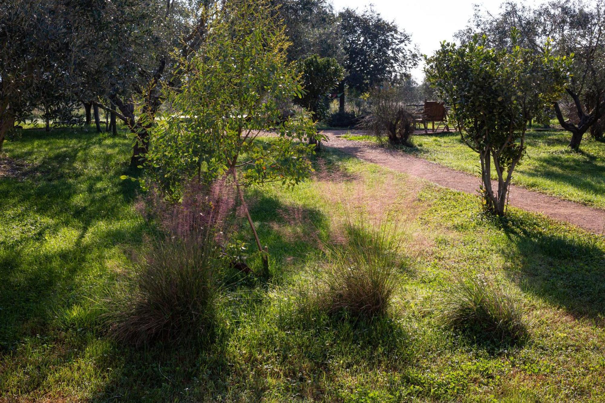 Agriturismo La Facenda Albinia