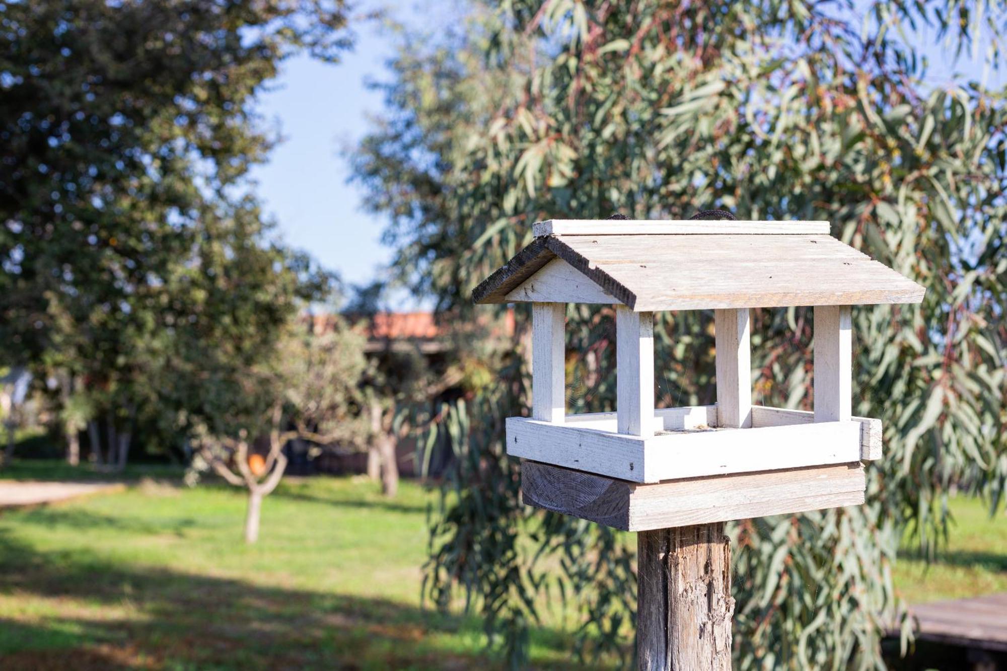 Agriturismo La Facenda Farm stay Albinia