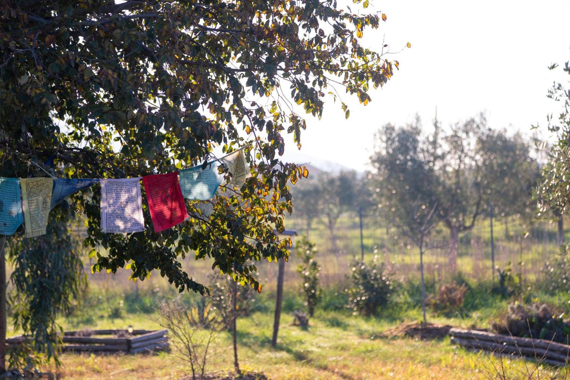 Agriturismo La Facenda