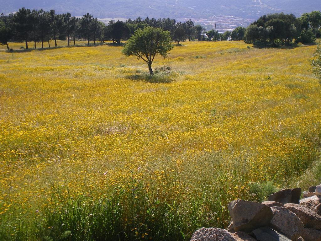 Agriturismo La Facenda Albinia