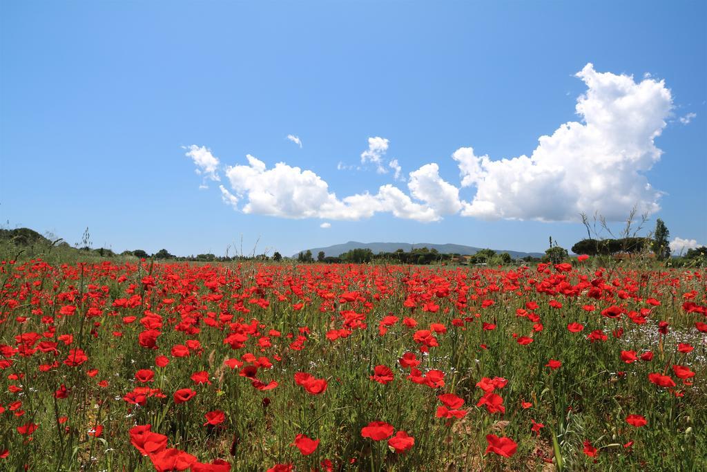 Agriturismo La Facenda